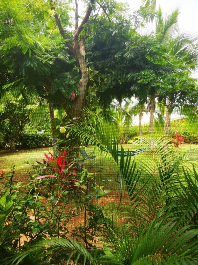 Villa Guarias Puntarenas Ngoại thất bức ảnh